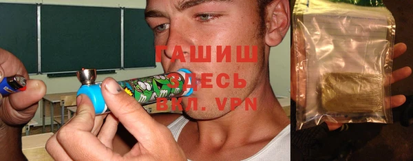 шишки Арсеньев