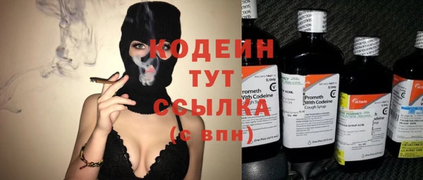 шишки Арсеньев