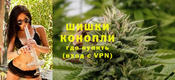 сатива Аркадак