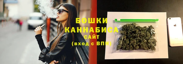 шишки Арсеньев