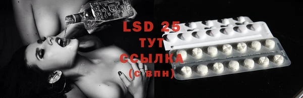 сатива Аркадак
