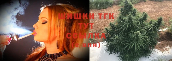 шишки Арсеньев