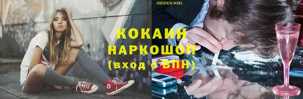 сатива Аркадак